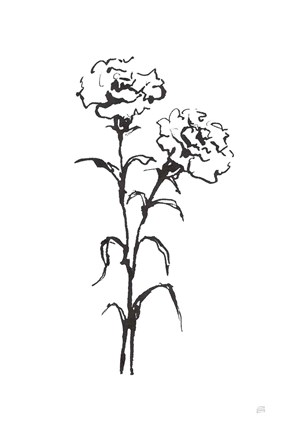 Framed Line Carnation II Print
