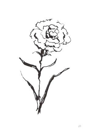 Framed Line Carnation I Print