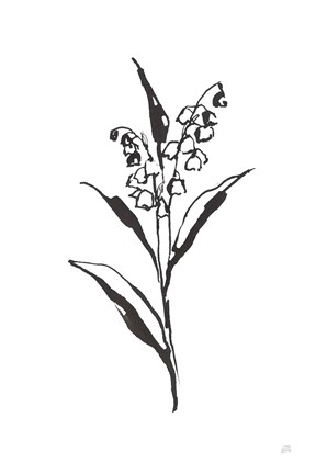 Framed Line Lily of the Valley II Print