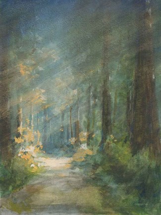 Framed Sun Soaked Redwoods Print