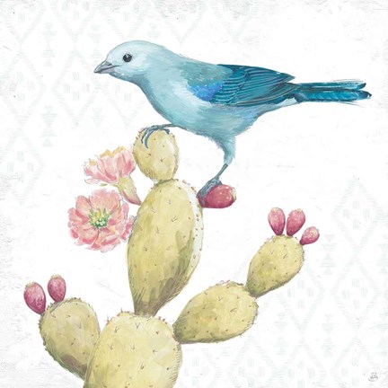 Framed Desert Beauties XI Print