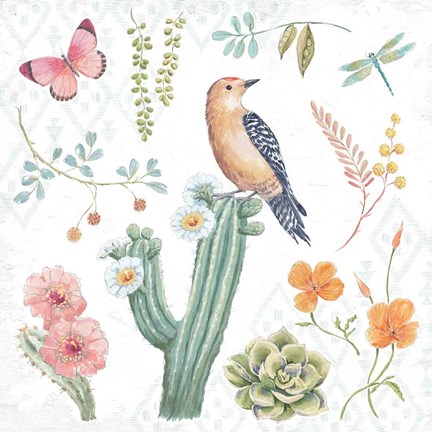 Framed Desert Beauties II Print