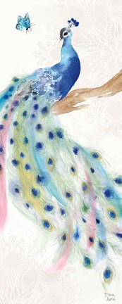 Framed Peacock Glory II Print