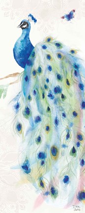 Framed Peacock Glory III Print