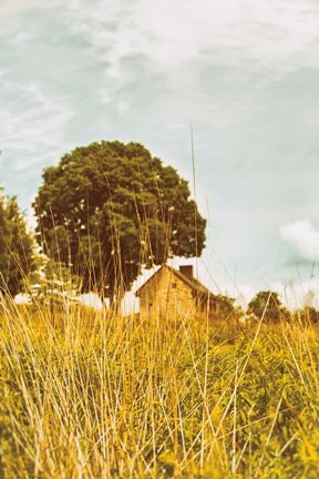 Framed Grass and Sky Print