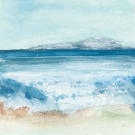 Framed Coastal IV Print