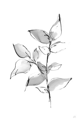 Framed Wash Leaf II Print