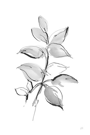 Framed Wash Leaf I Print