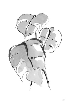 Framed Wash Split Leaf II Print