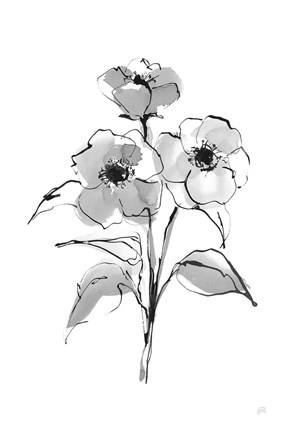 Framed Wash Poppy II Print