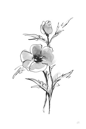 Framed Wash Anemone I Print