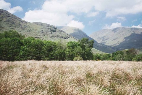 Framed Scottish Highlands III Print