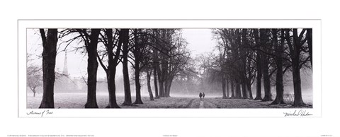 Framed Avenue of Trees BW Print