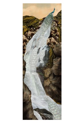 Framed Peacock Falls Print