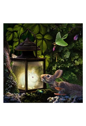 Framed Luminant Print