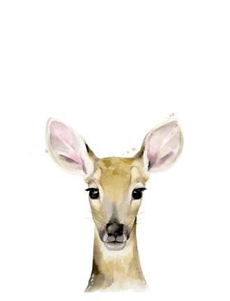 Framed Fawn Print