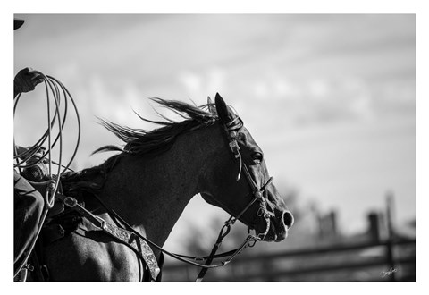 Framed Runnin&#39; Against the Wind Print