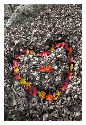Framed Love in the Leaves Print