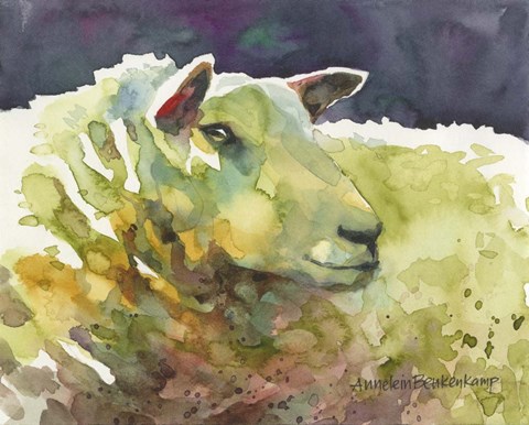Framed Sheep III Print