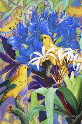 Framed Bird Kingdom 2 Print