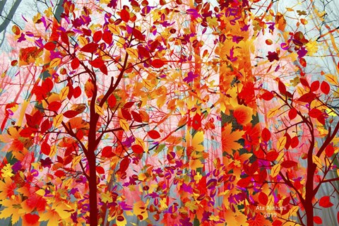 Framed Sea Of Colors Print