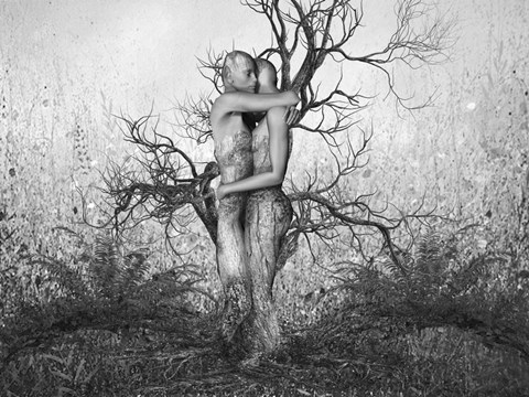 Framed All Connected 1 Print