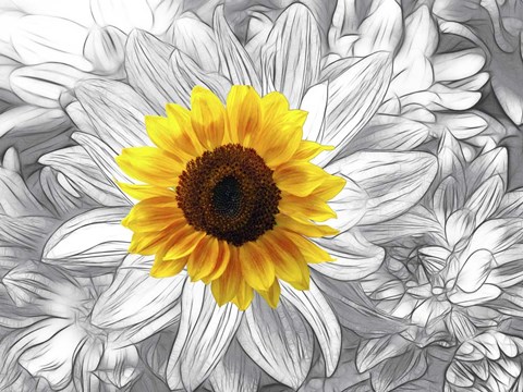 Framed Stars 3 Print