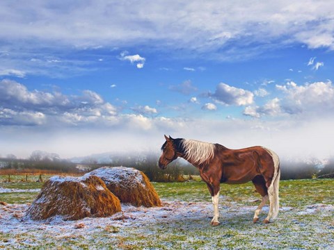 Framed Winter On The Way Print