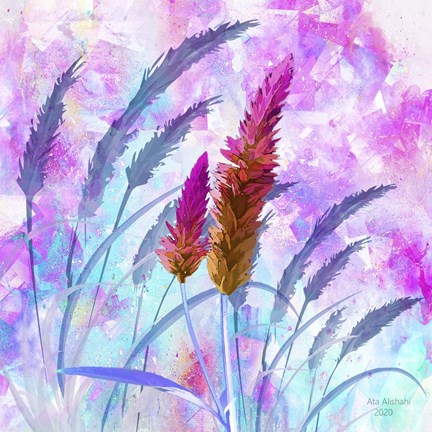 Framed Beauty Of Natural World Print