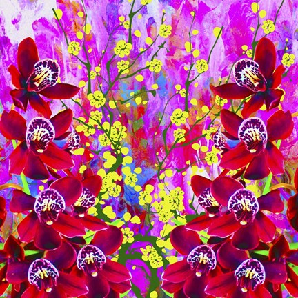 Framed Emotional Journy 29 Print