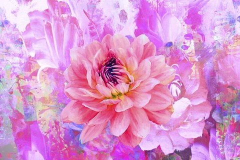 Framed Emotional Journy 34 Print