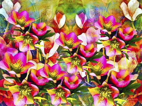 Framed Nature And Colors 2 Print