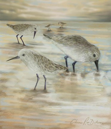 Framed Sandpipers Print