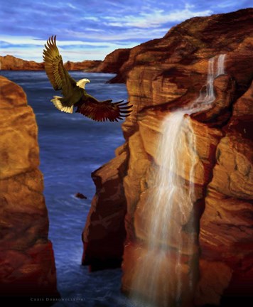 Framed Canyon Eagle Print