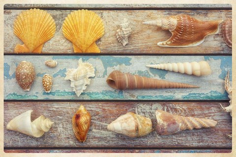 Framed Beach Memories II Print