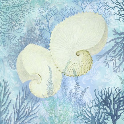 Framed Marine Love Paper Shells Print