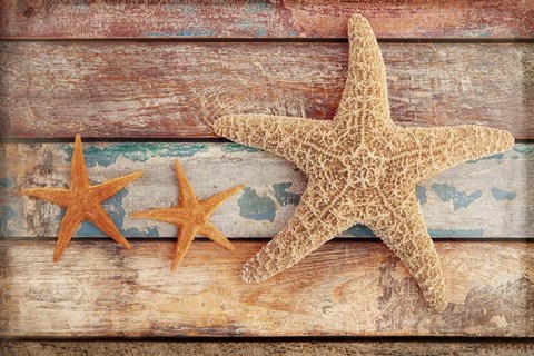 Framed Seaside Memories I Print