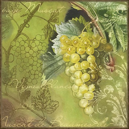 Framed White Vines Muscat Print