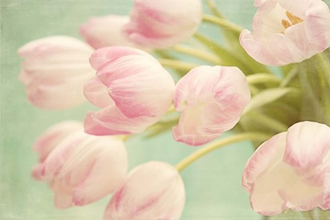 Framed Tulips Bouquet Print