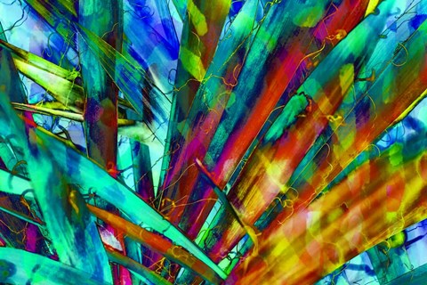 Framed Colorful Foliage 7 Print