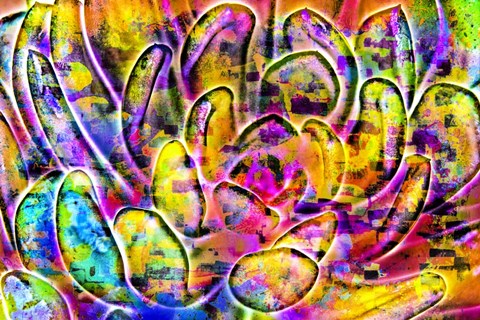 Framed Succulent Dressed in Rainbow Colors 5 Print