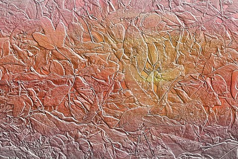 Framed Leaves in Pastel Colors 1 Print