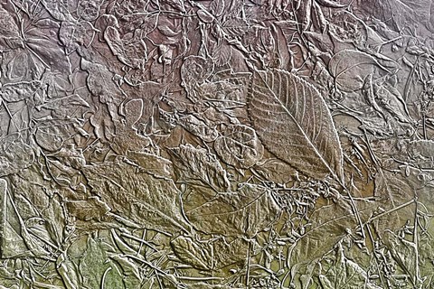 Framed Leaves in Pastel Colors 6 Print