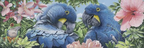 Framed Blue Macaws Print
