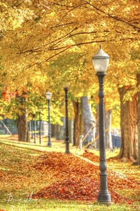 Framed Lamp Post And Leaves Print