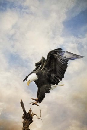 Framed Coming Down To Earth Print