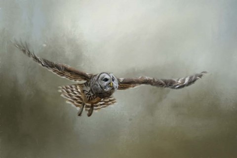 Framed Go Toward The Light Print