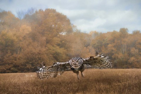 Framed Morning Mouse Hunting Print