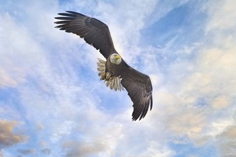 Framed No Place Like Home Print