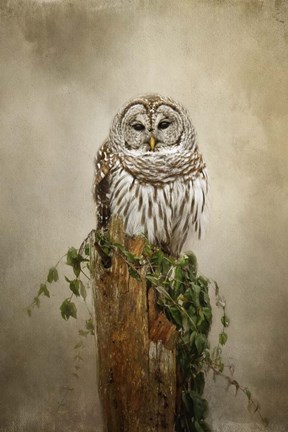 Framed Ollie and Ivy Print